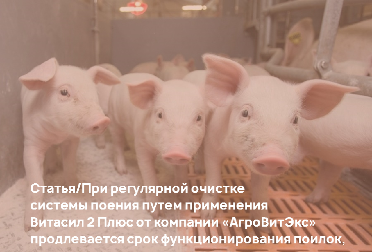 Обложка статьи