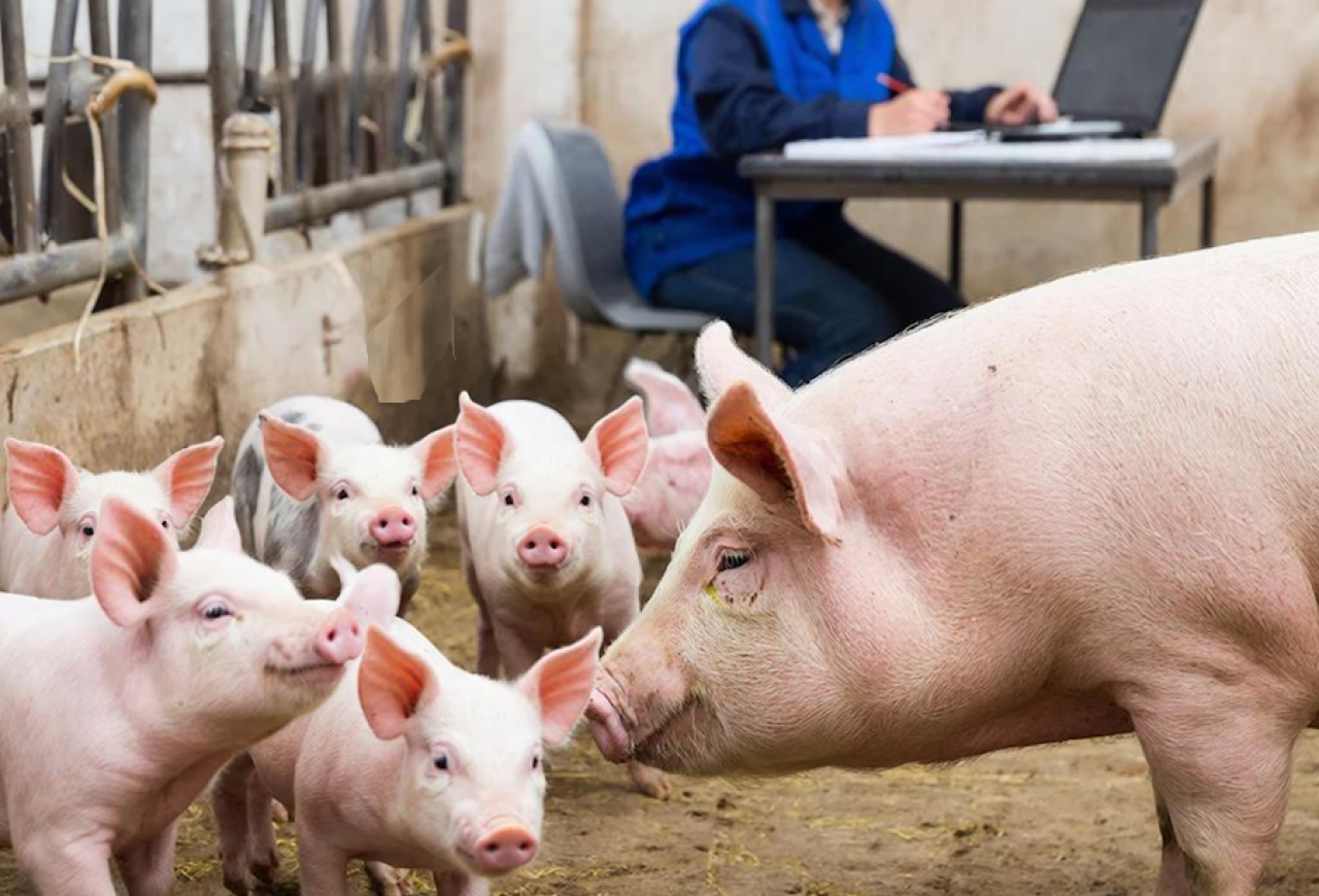 Обложка статьи