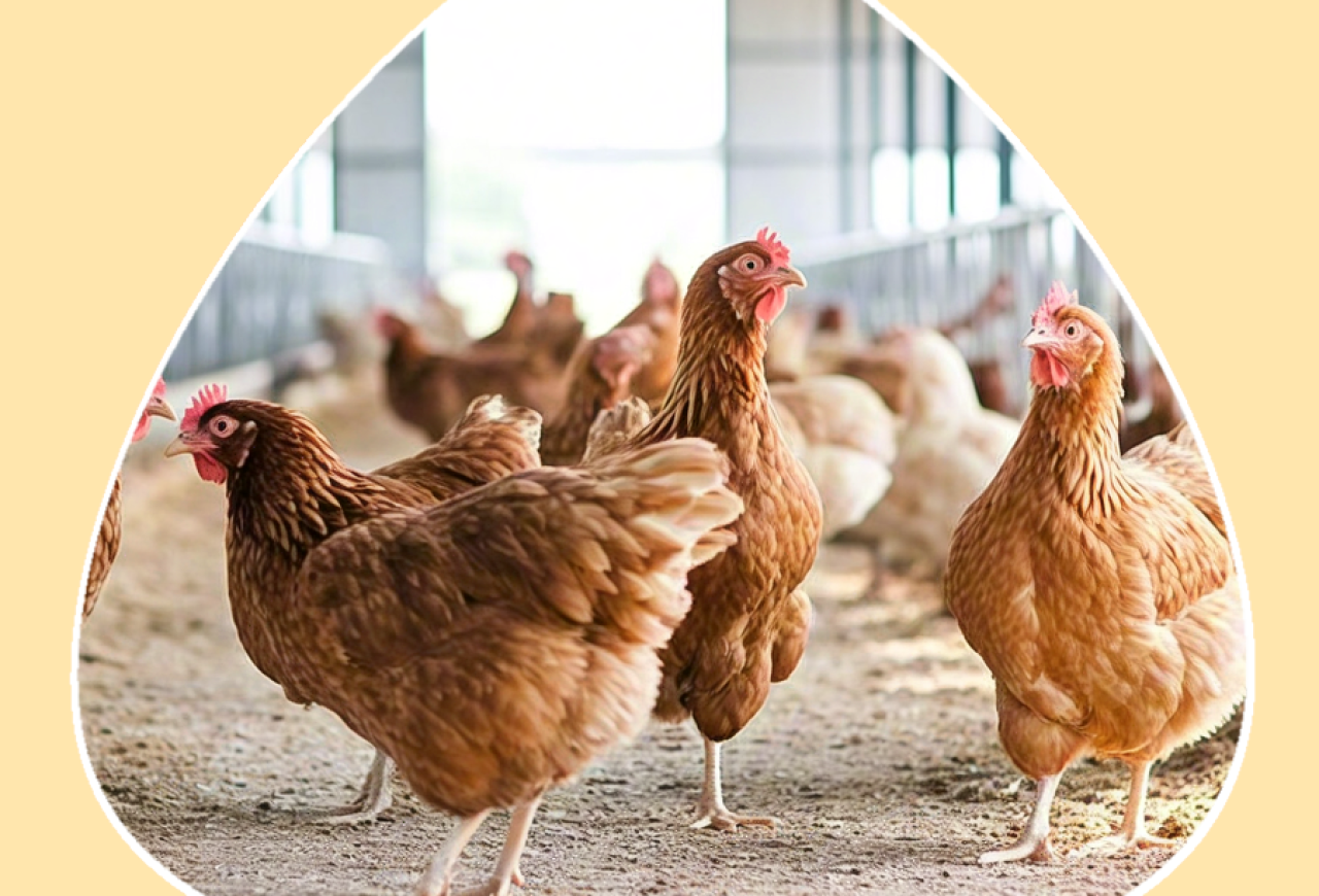 Обложка статьи