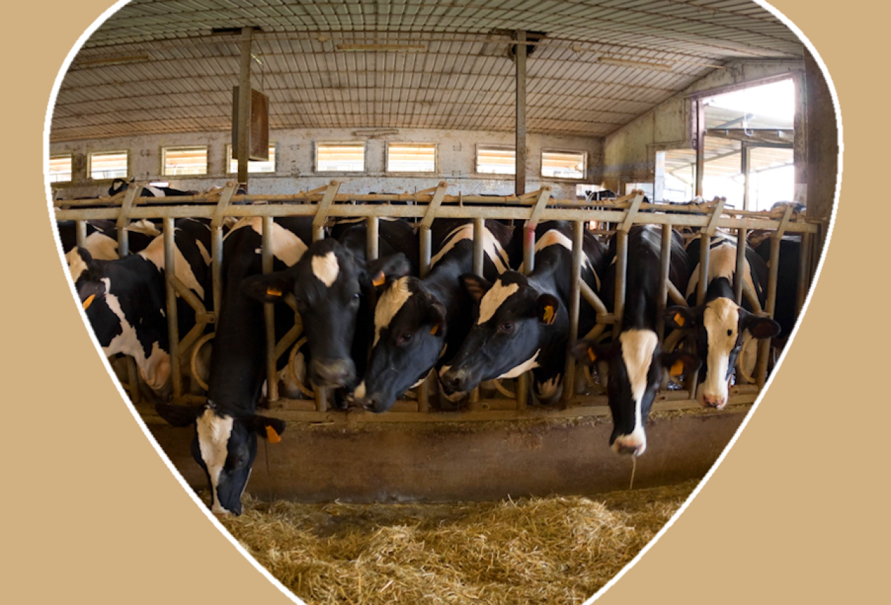 Обложка статьи