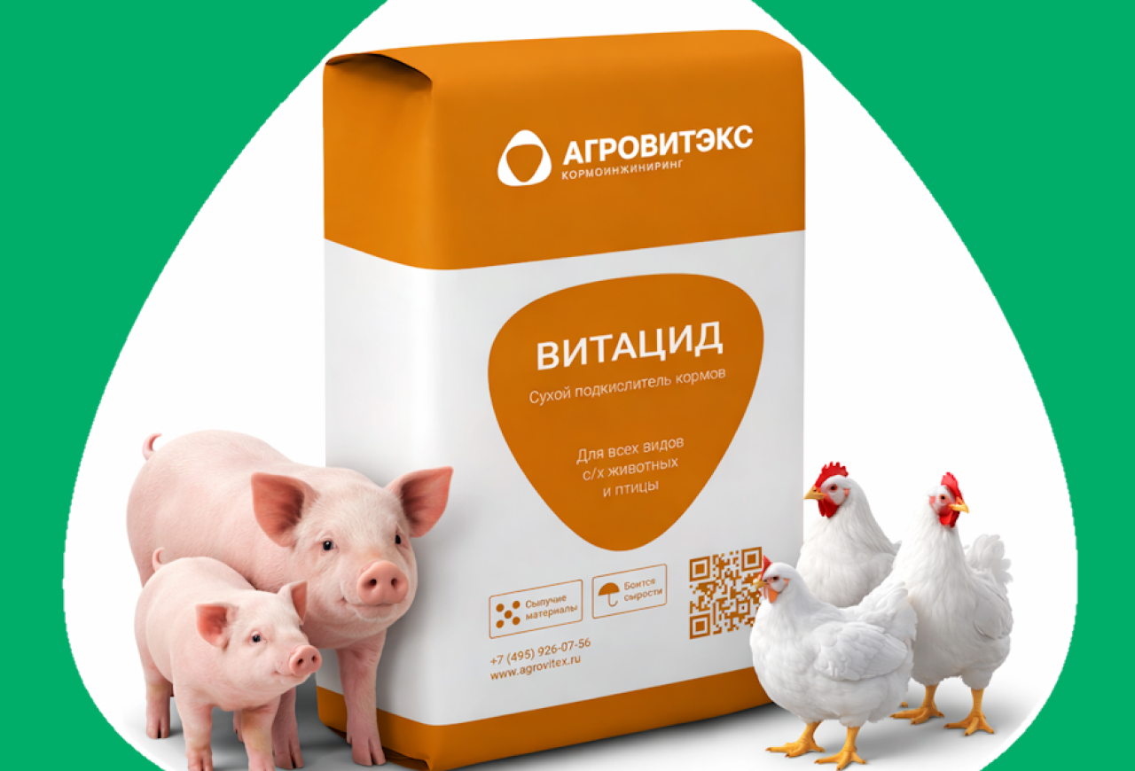 Обложка статьи