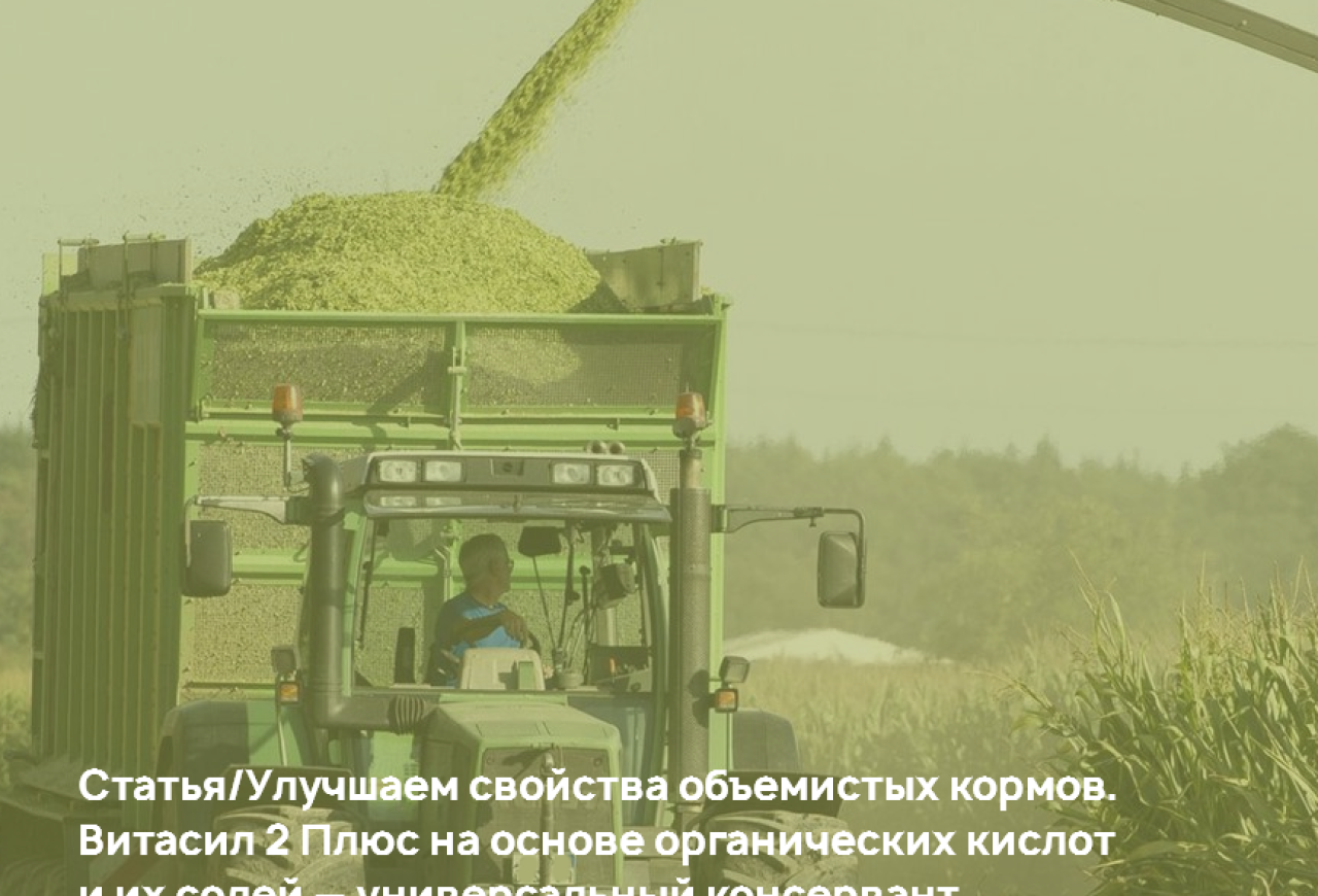 Обложка статьи