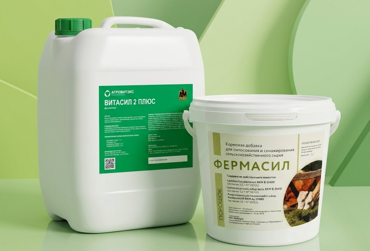 Обложка статьи