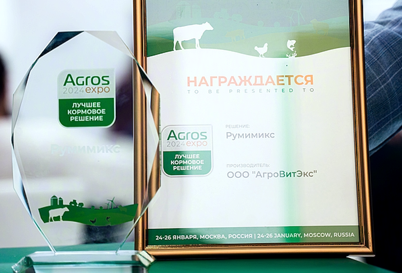 Обложка статьи