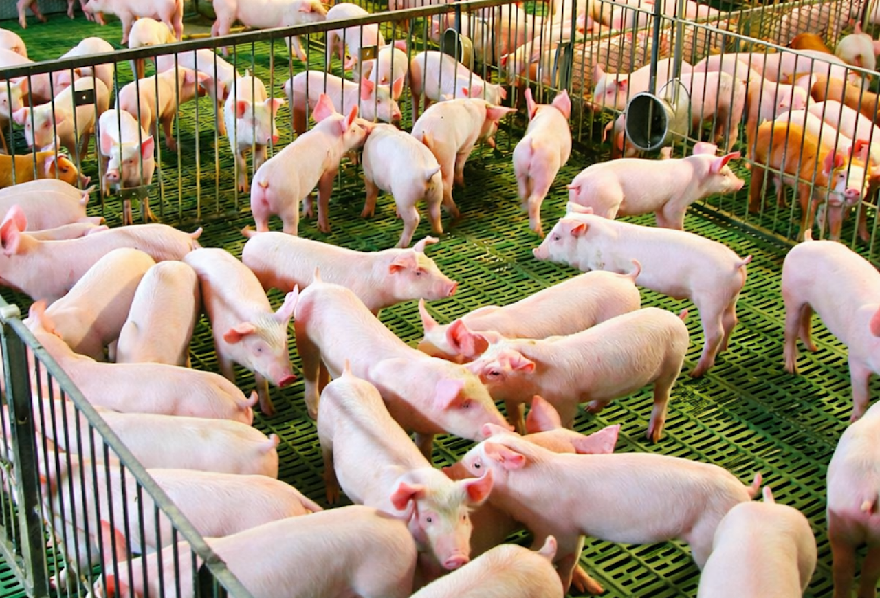 Обложка статьи