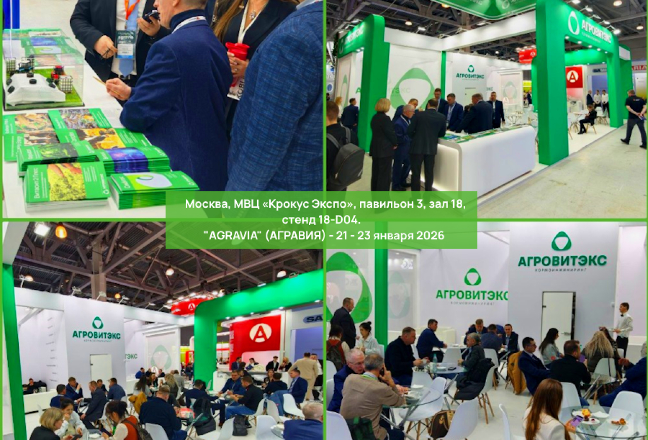 Обложка статьи