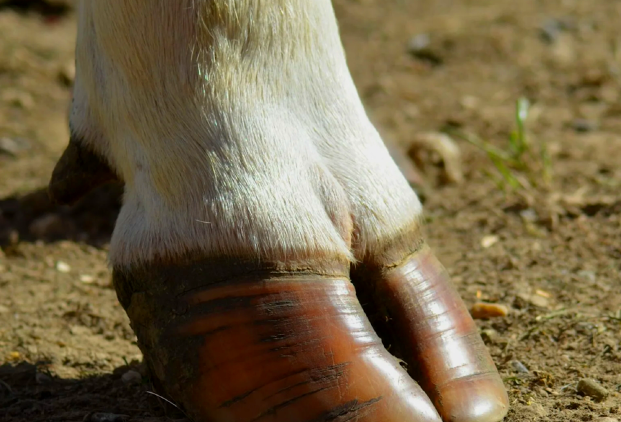 Обложка статьи