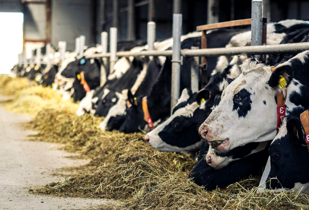 Обложка статьи