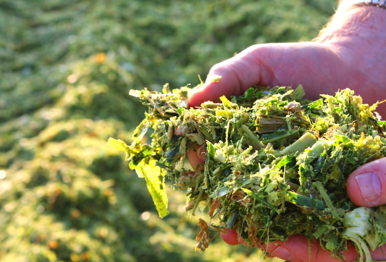 Обложка статьи