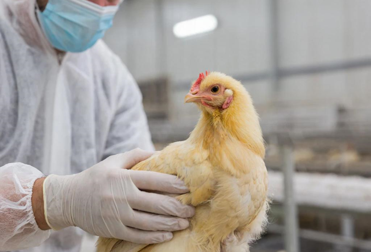 Обложка статьи