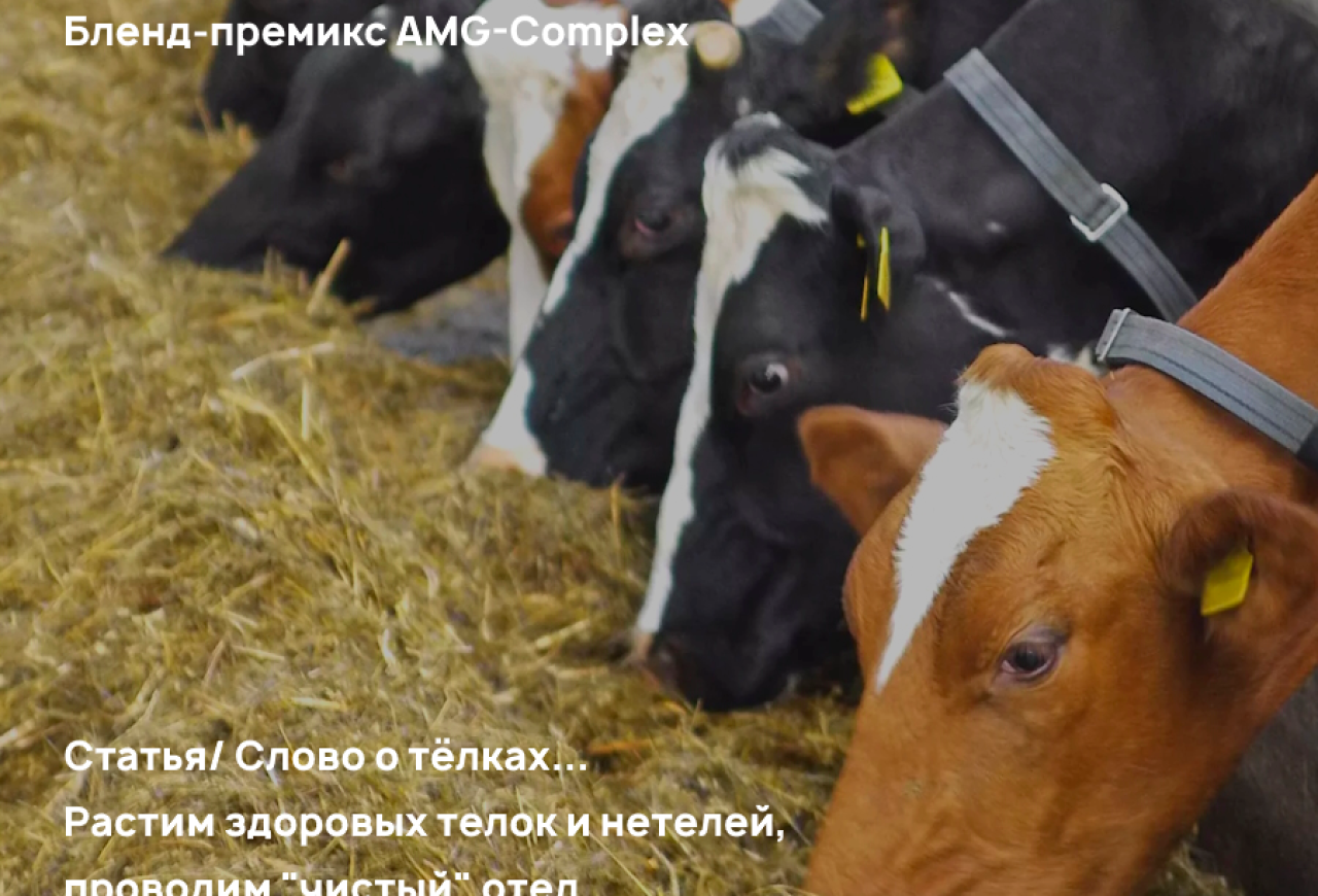 Обложка статьи
