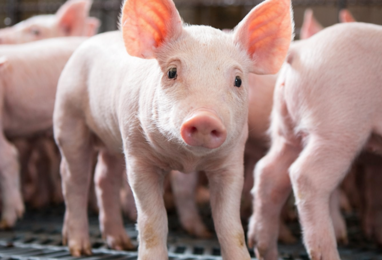 Обложка статьи