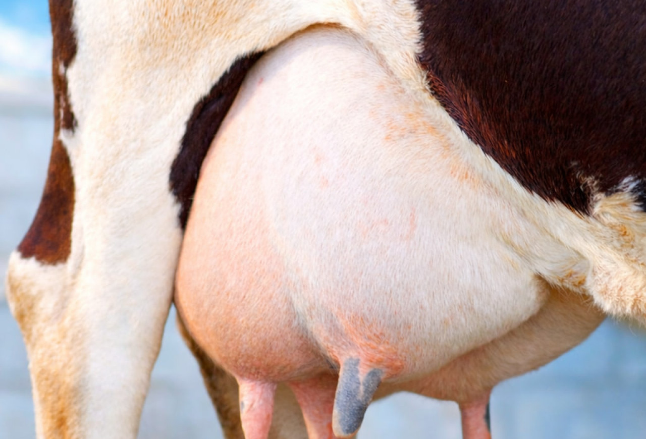 Обложка статьи