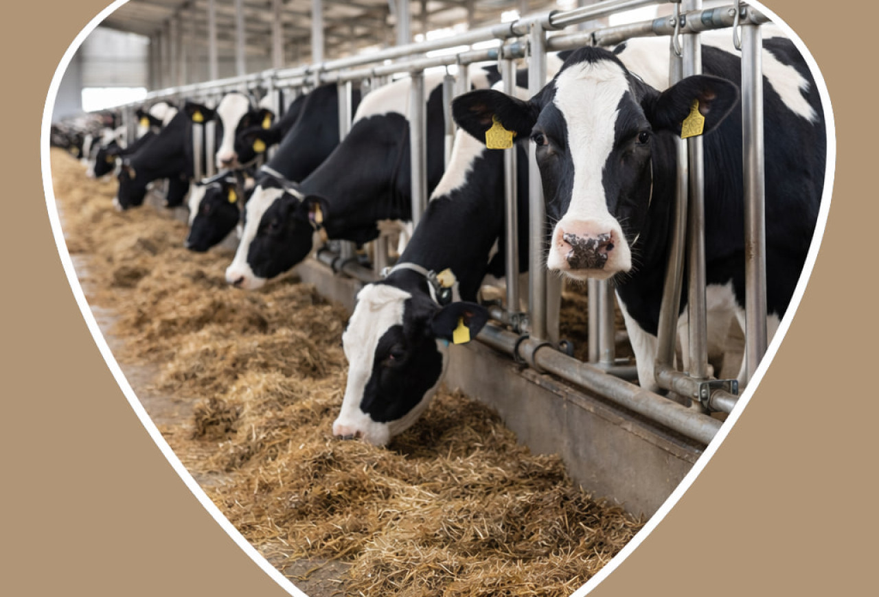 Обложка статьи