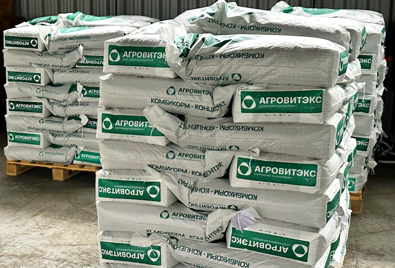 Обложка статьи