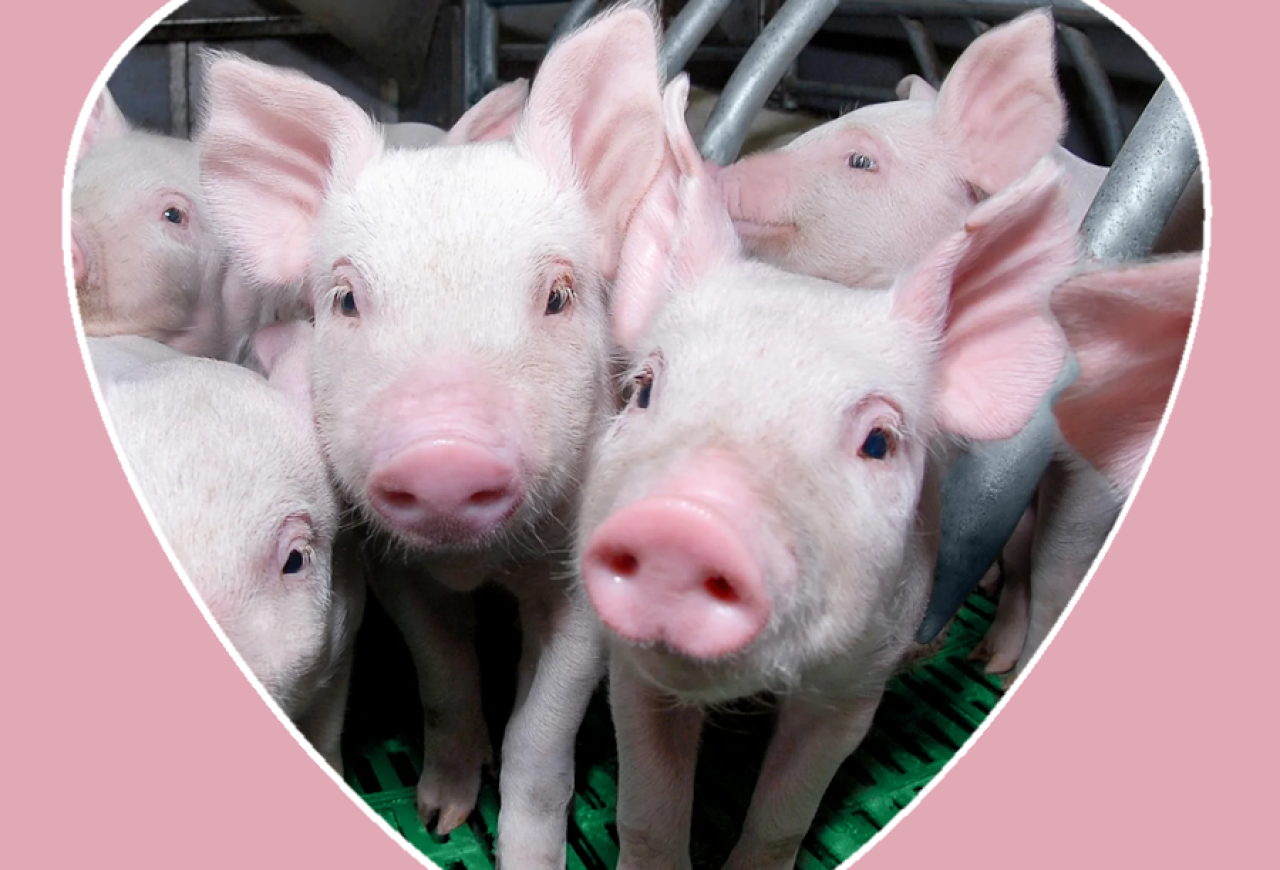 Обложка статьи