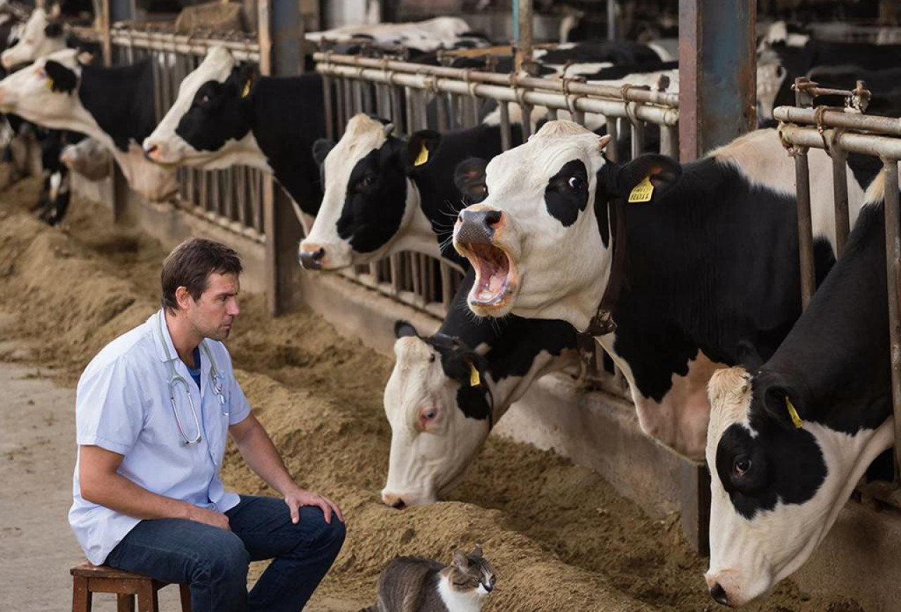 Обложка статьи