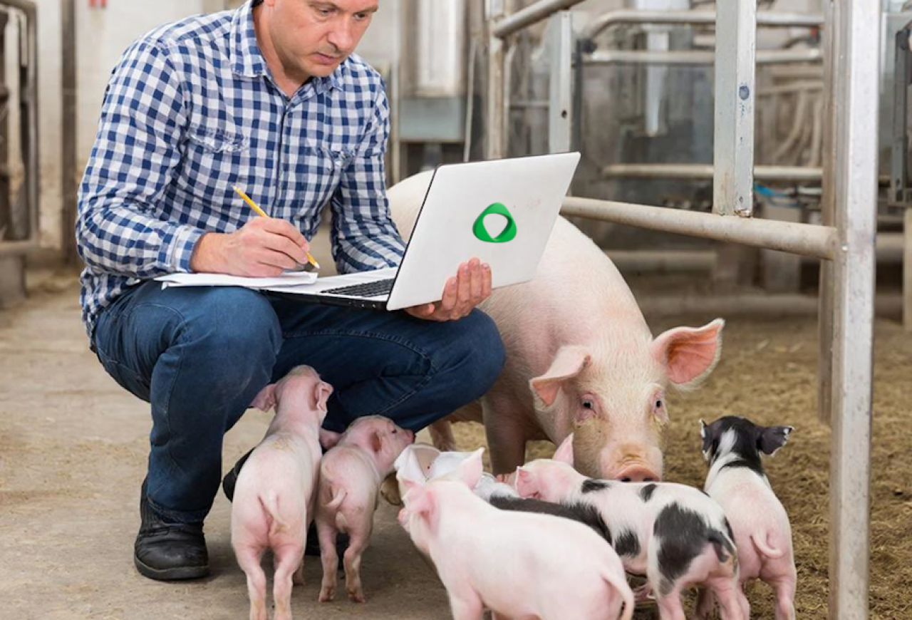 Обложка статьи