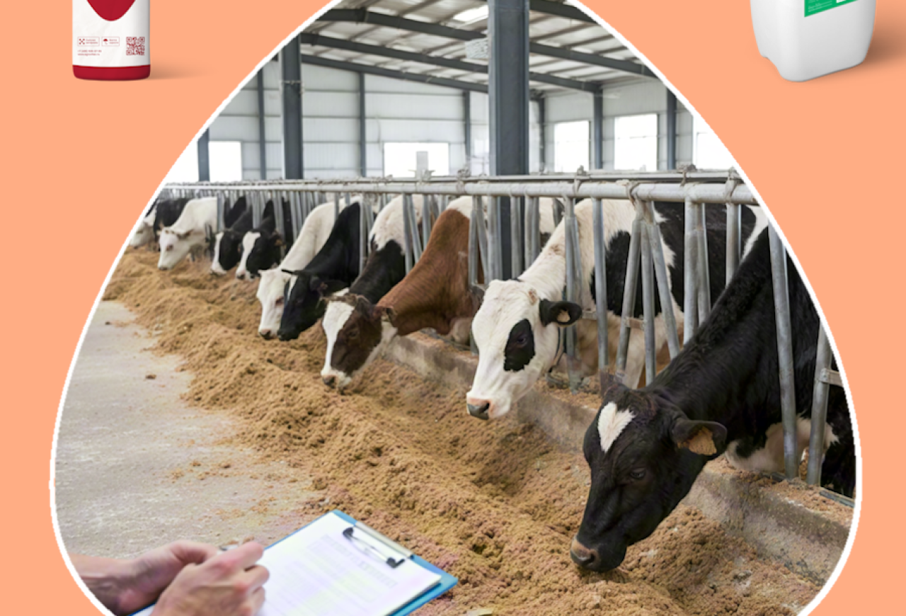 Обложка статьи