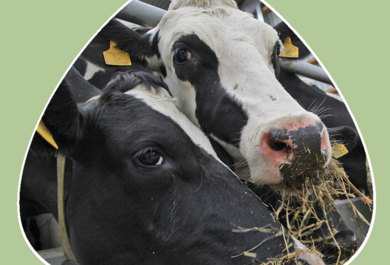 Обложка статьи