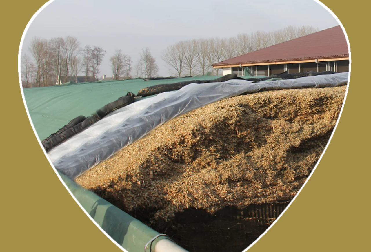 Обложка статьи