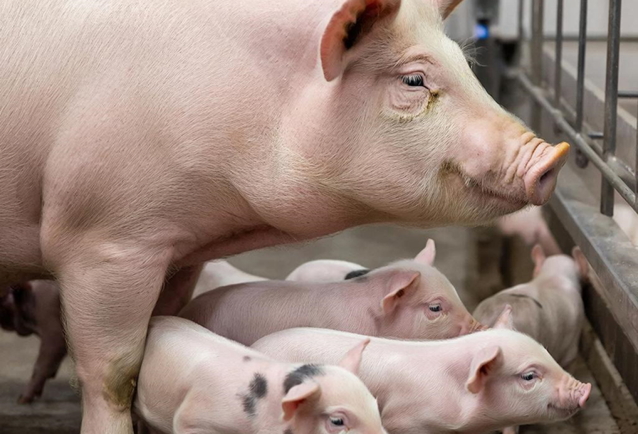 Обложка статьи