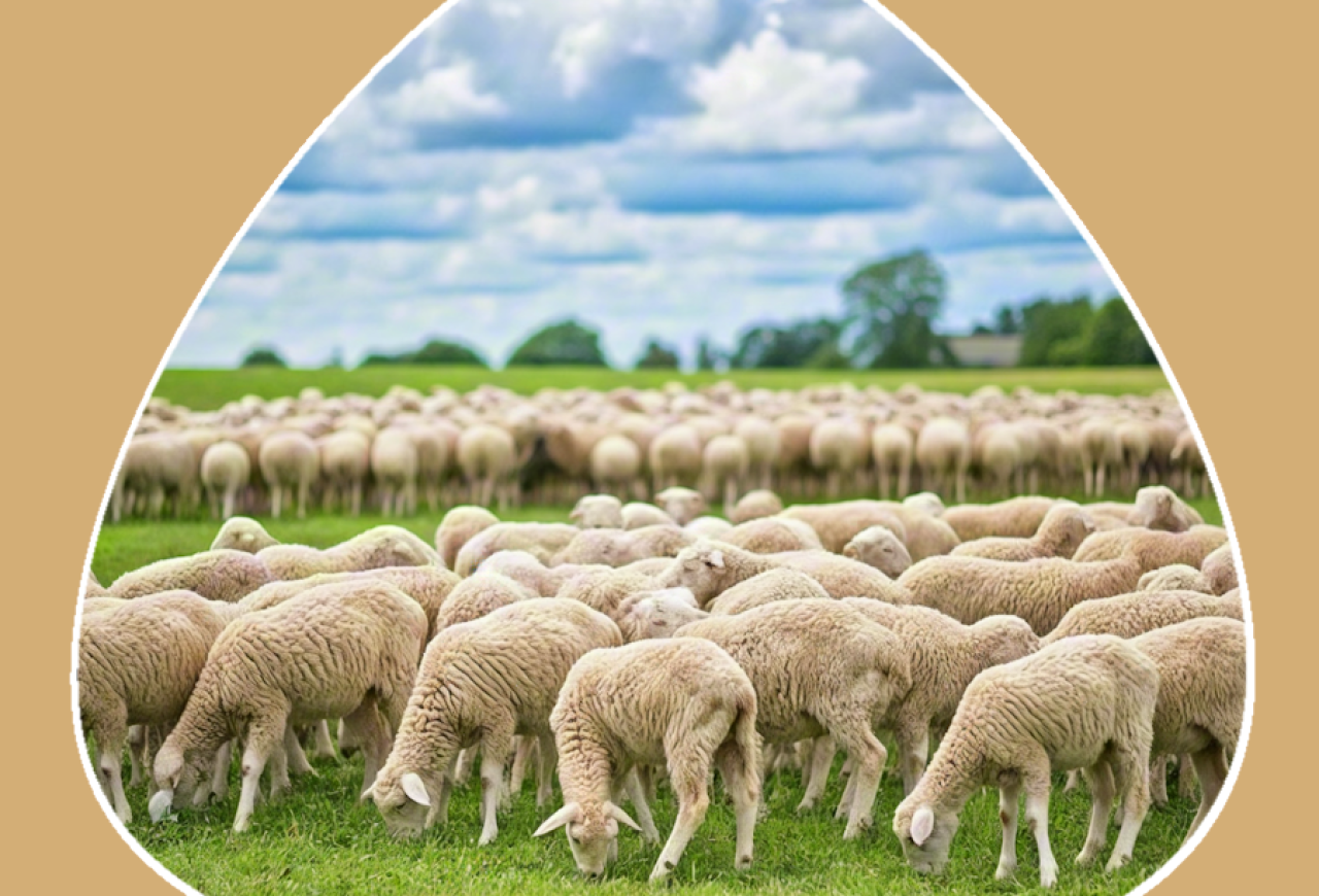 Обложка статьи