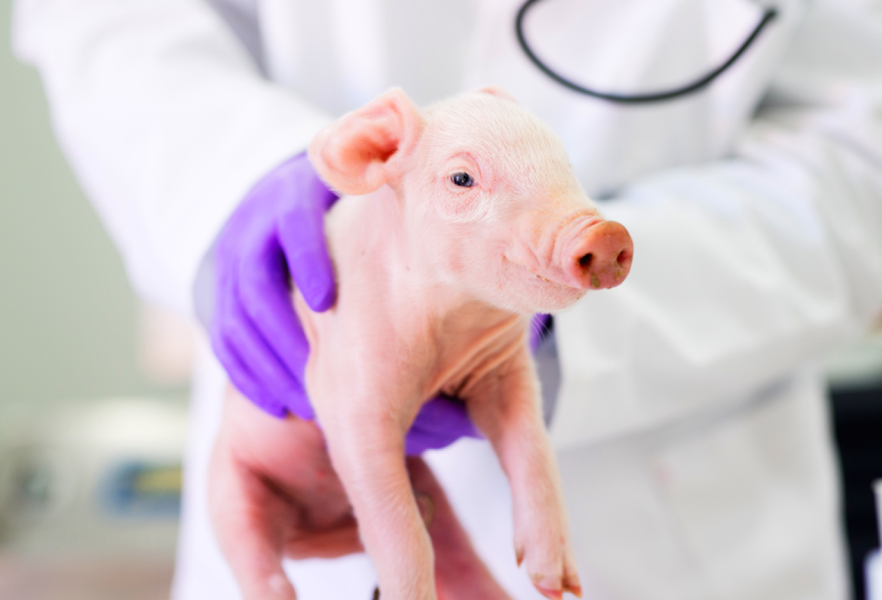 Обложка статьи