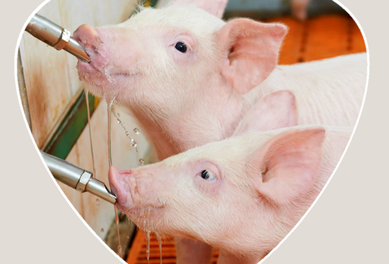 Обложка статьи