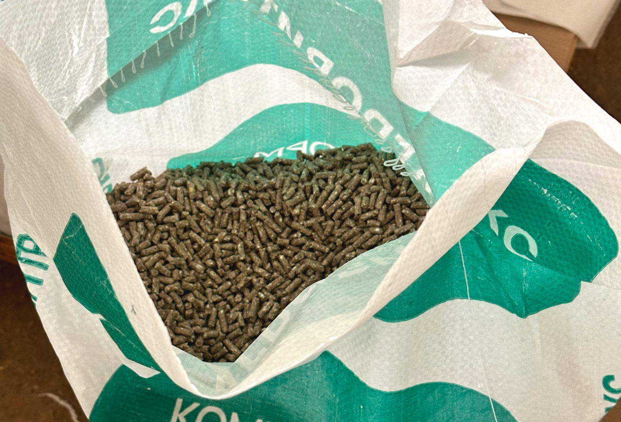 Обложка статьи