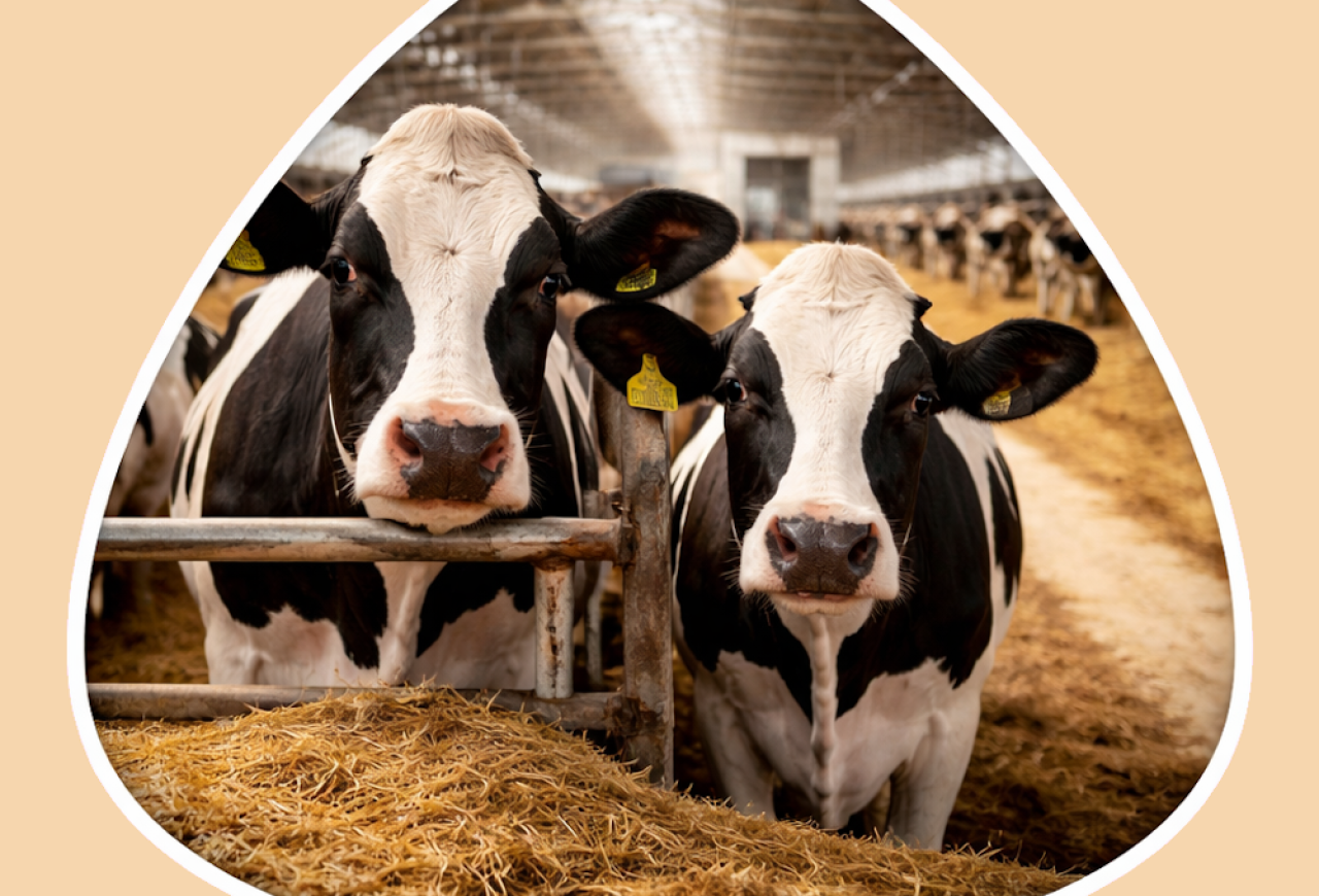 Обложка статьи