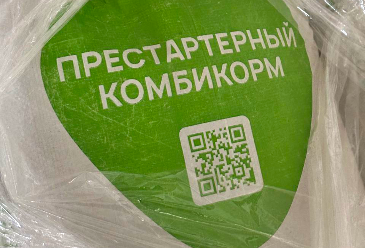 Обложка статьи